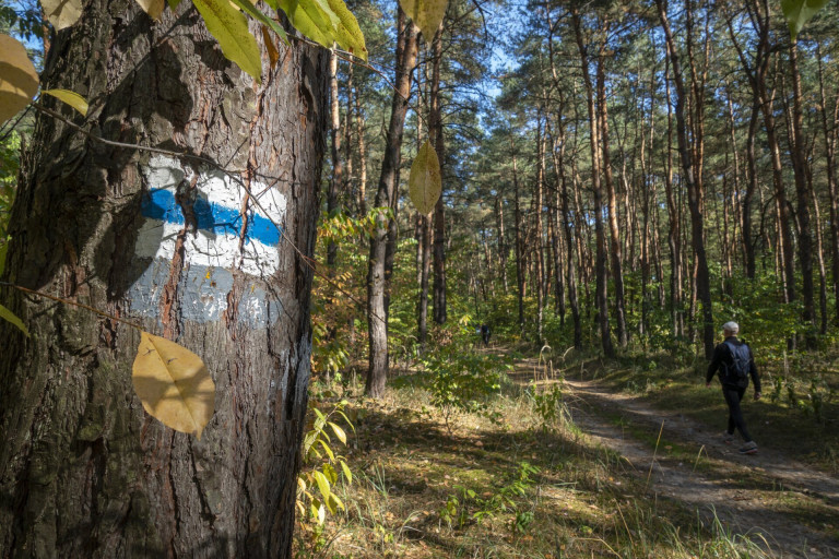 2021-ben rekordot döntött a teljesítők száma