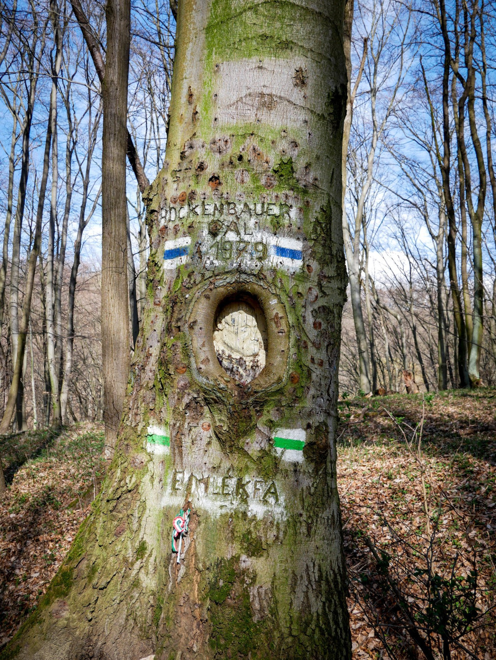 8Rockenbauer Pál emlékfa