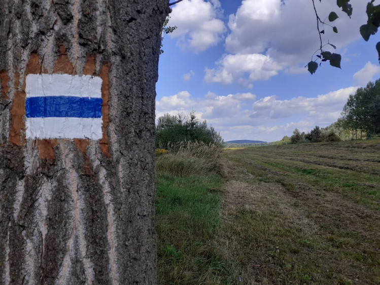 Megnyílt február elsején a turistajelzések felújítására kiírt pályázat